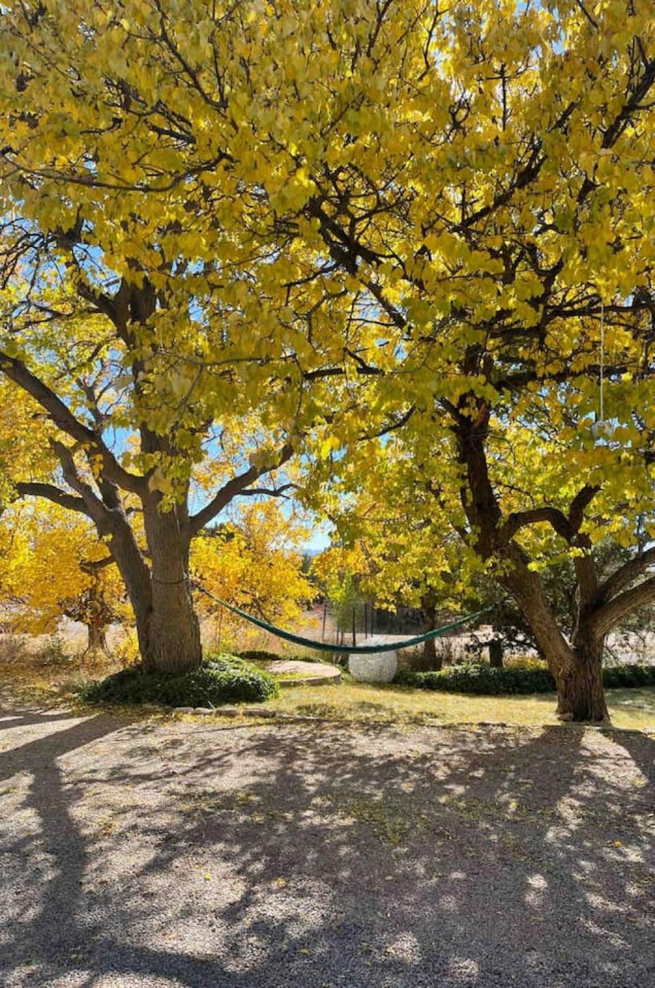 Adobe Lair Historic Homestead 8 Min To Plaza Luxury tent