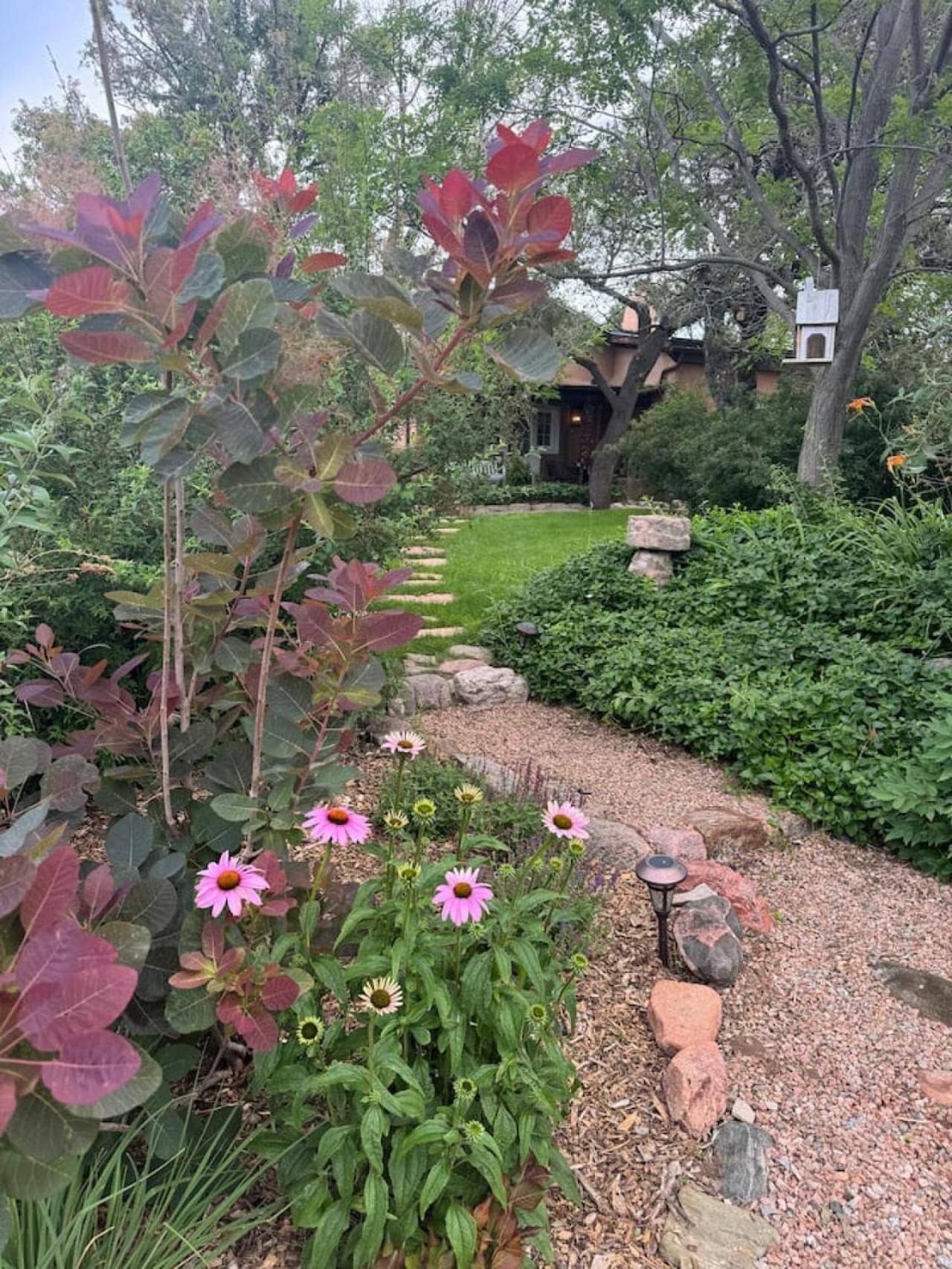 Luxury tent Adobe Lair Historic Homestead 8 Min To Plaza *